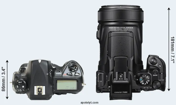Compare D2H versus P1000 top