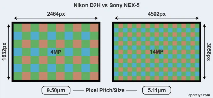 D2H versus NEX-5 MP