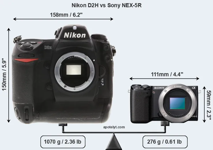 Size Nikon D2H vs Sony NEX-5R