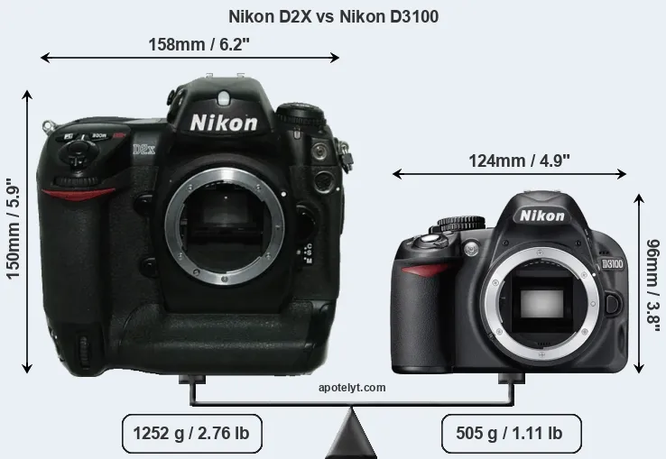 Size Nikon D2X vs Nikon D3100