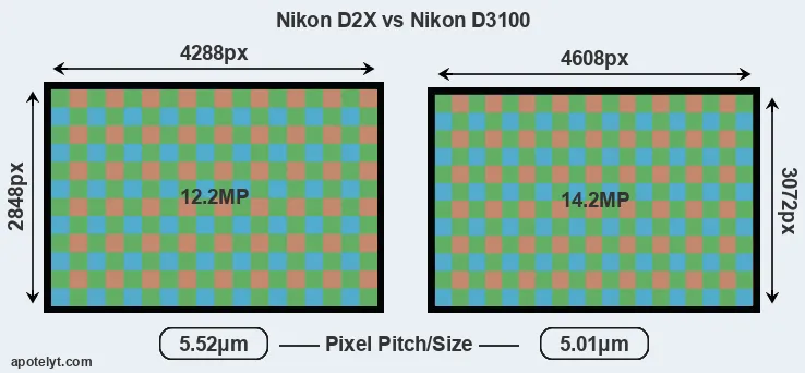 D2X versus D3100 MP