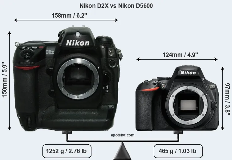 Size Nikon D2X vs Nikon D5600