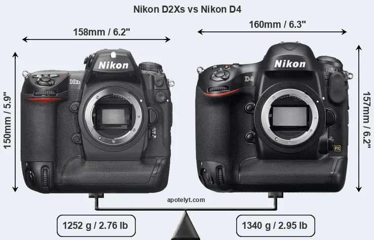 Size Nikon D2Xs vs Nikon D4