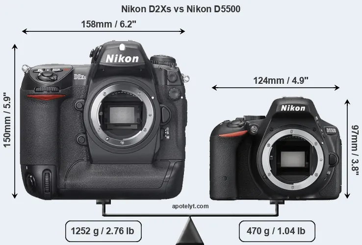 Size Nikon D2Xs vs Nikon D5500