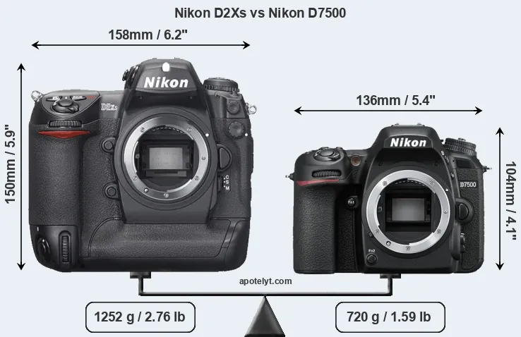 Size Nikon D2Xs vs Nikon D7500