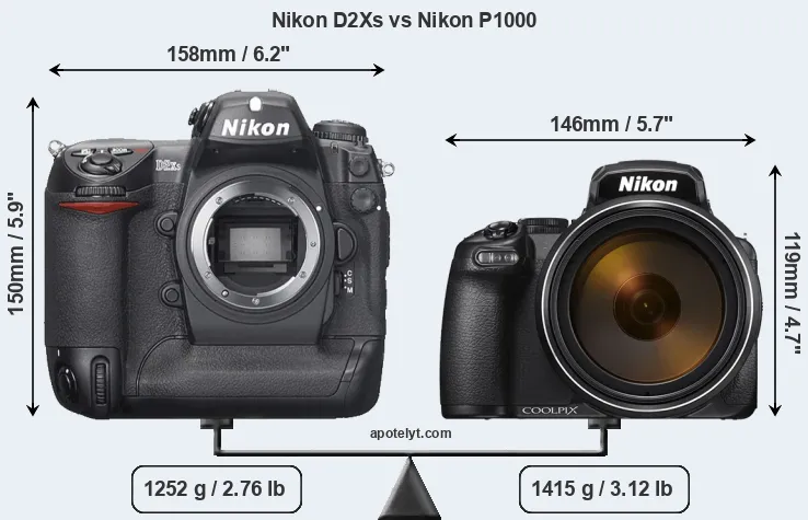 Size Nikon D2Xs vs Nikon P1000