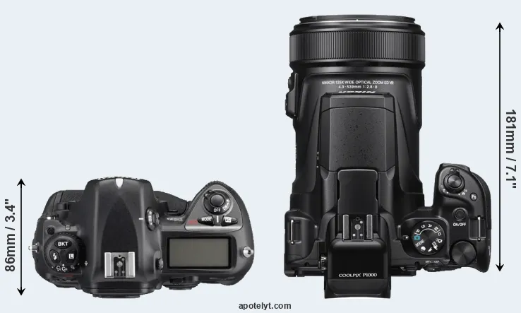 Compare D2Xs versus P1000 top