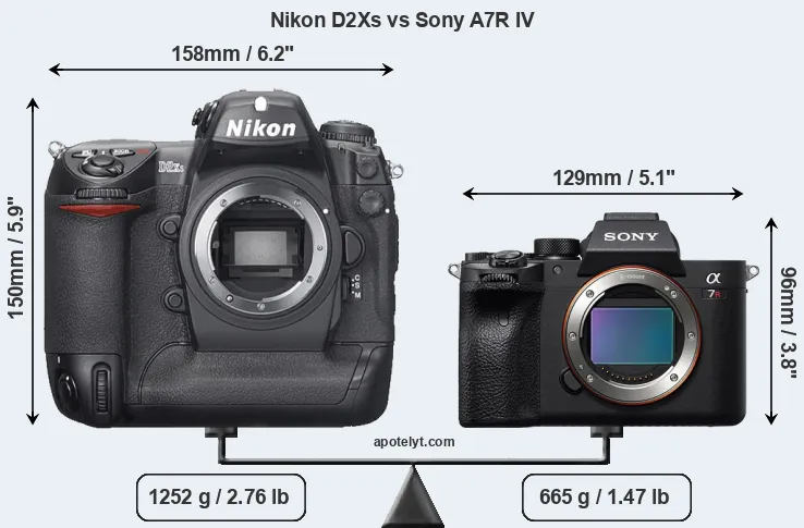 Size Nikon D2Xs vs Sony A7R IV