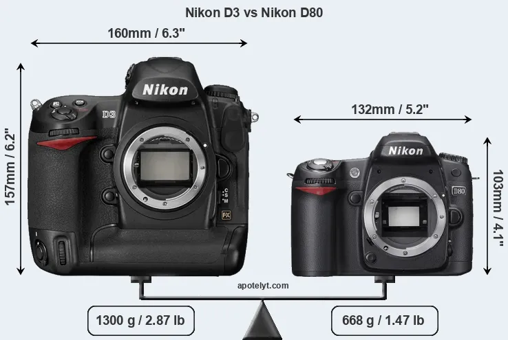 Size Nikon D3 vs Nikon D80
