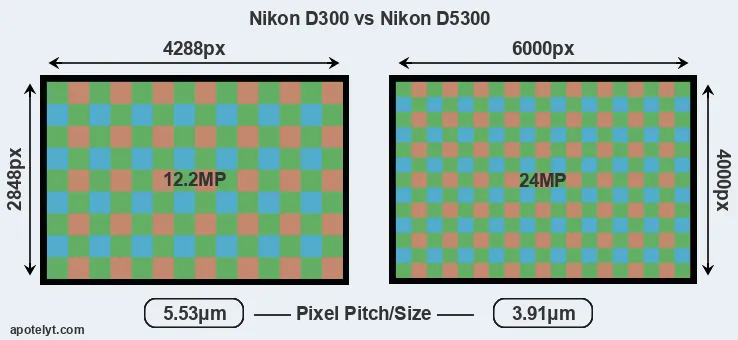 D300 versus D5300 MP