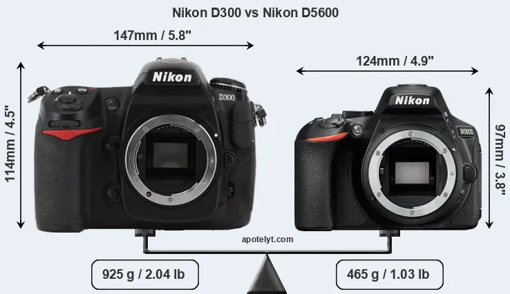 Size Nikon D300 vs Nikon D5600