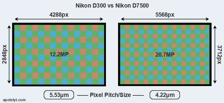 D300 versus D7500 MP