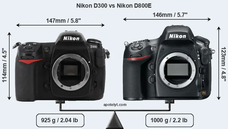 Size Nikon D300 vs Nikon D800E