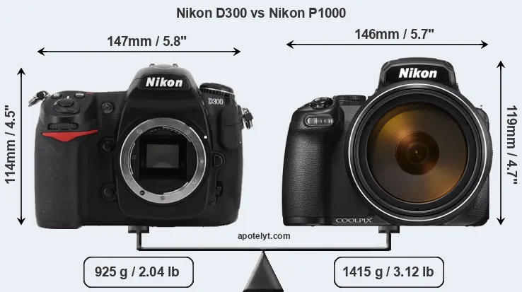 Size Nikon D300 vs Nikon P1000