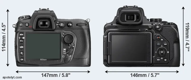 Comparison D300 or P1000 rear