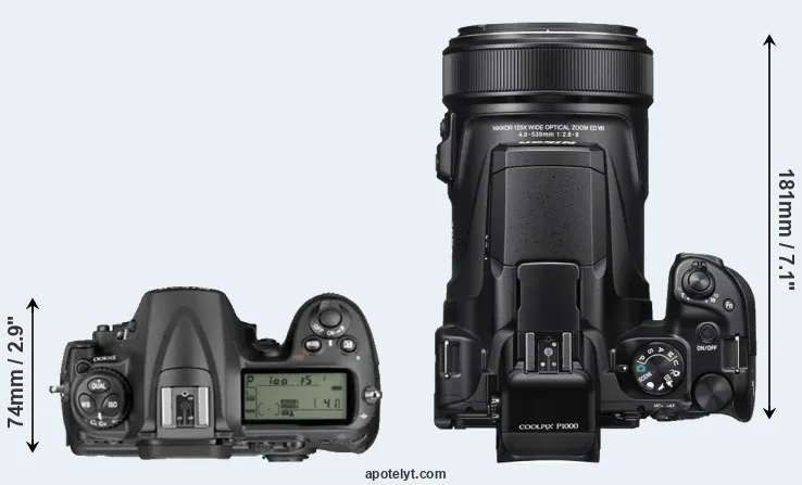 Compare D300 versus P1000 top