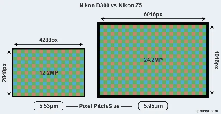 D300 versus Z5 MP
