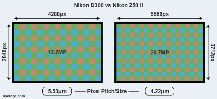 D300 versus Z50 II MP