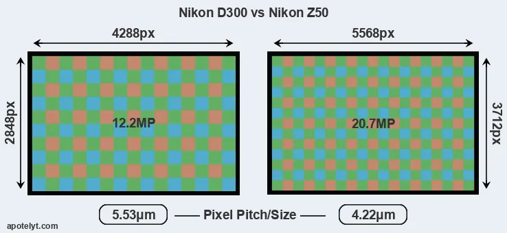 D300 versus Z50 MP