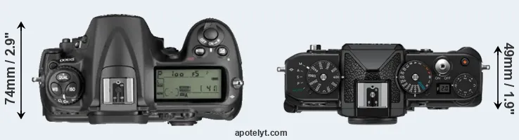 Compare D300 versus Zf top