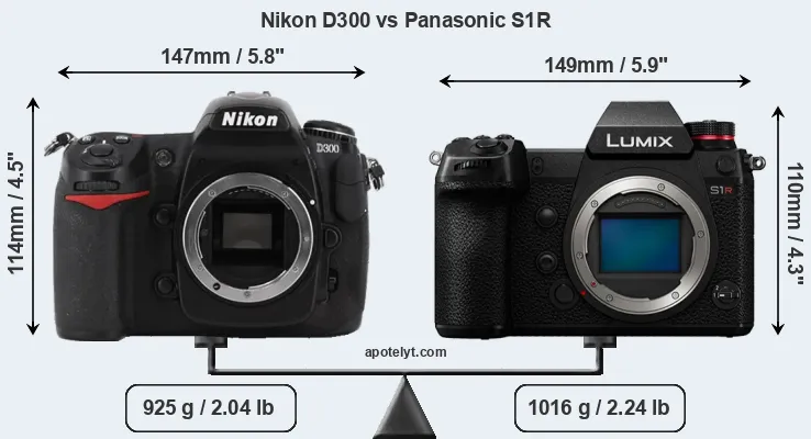 Size Nikon D300 vs Panasonic S1R