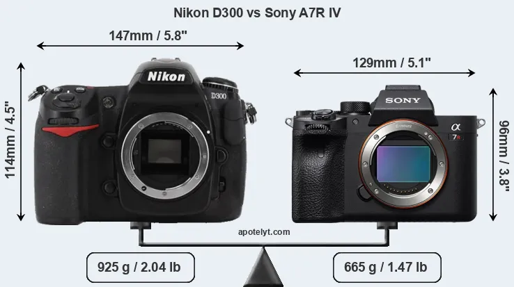 Size Nikon D300 vs Sony A7R IV