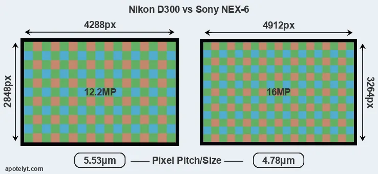 D300 versus NEX-6 MP