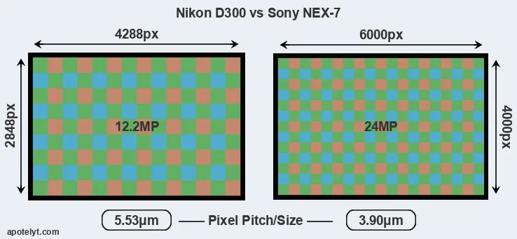 D300 versus NEX-7 MP