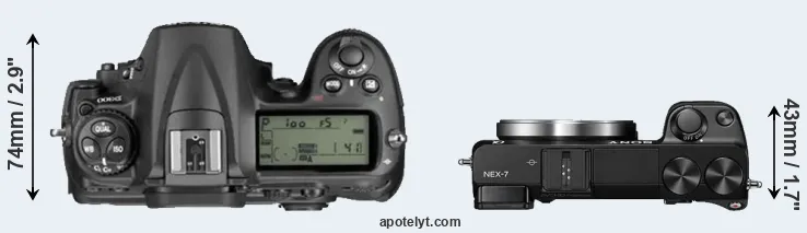 Compare D300 versus NEX-7 top