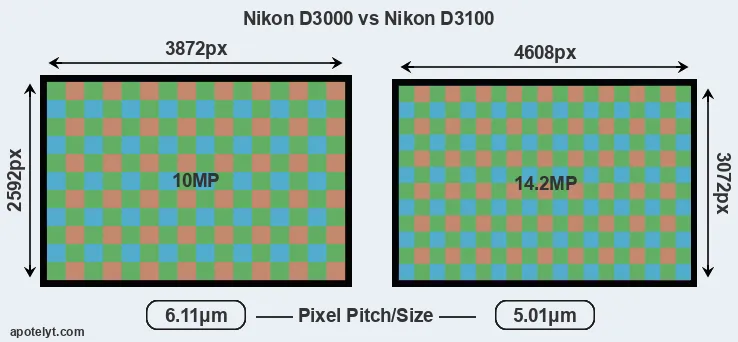 D3000 versus D3100 MP