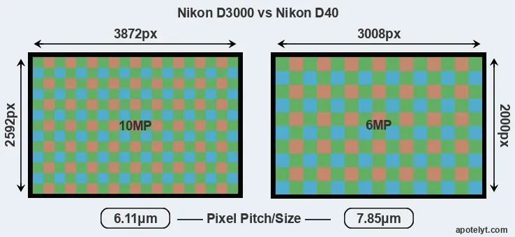 D3000 versus D40 MP