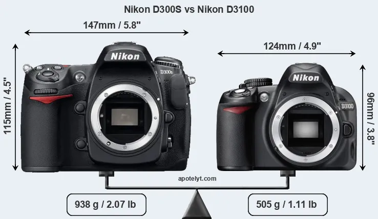 Size Nikon D300S vs Nikon D3100