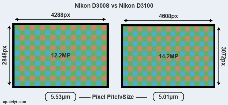 D300S versus D3100 MP