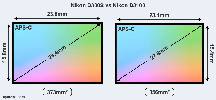 Nikon D300S and Nikon D3100 sensor measures