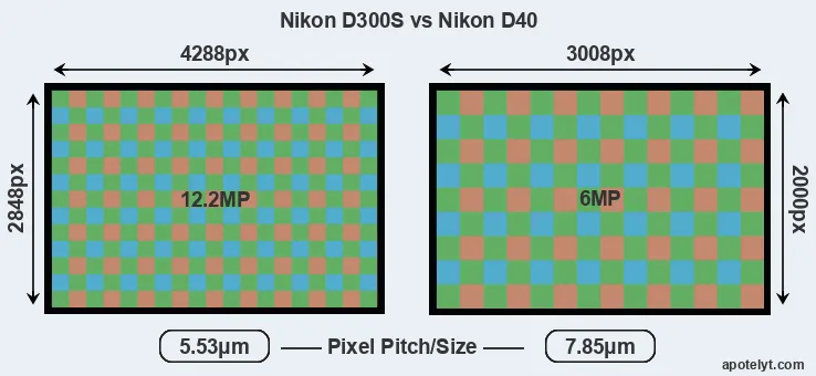 D300S versus D40 MP