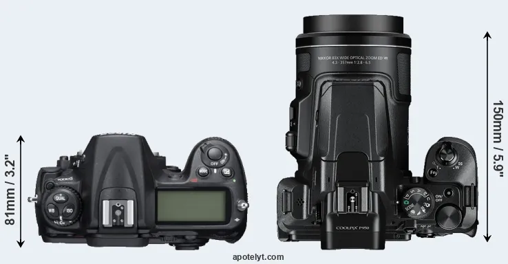 Compare D300S versus P950 top