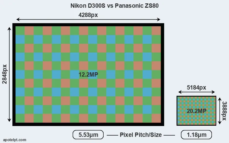 D300S versus ZS80 MP