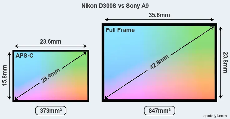 Nikon D300S and Sony A9 sensor measures
