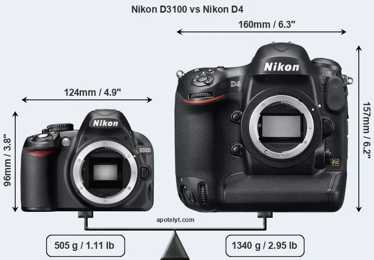 Size Nikon D3100 vs Nikon D4