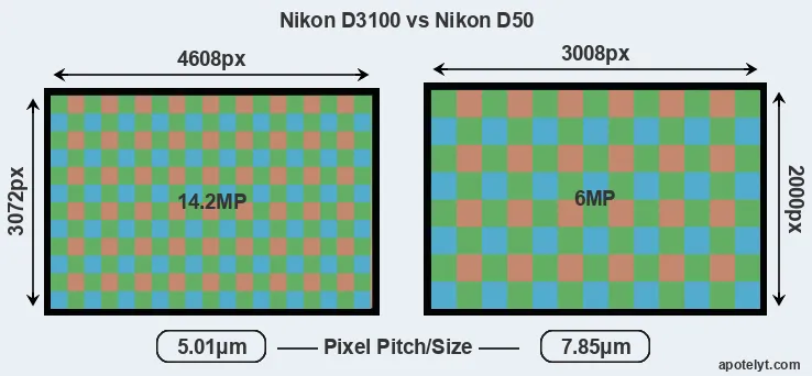 D3100 versus D50 MP