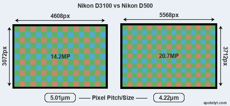 D3100 versus D500 MP