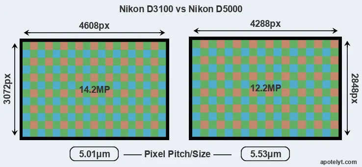 D3100 versus D5000 MP