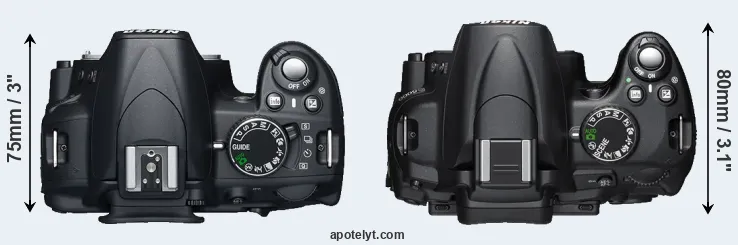 Compare D3100 versus D5000 top