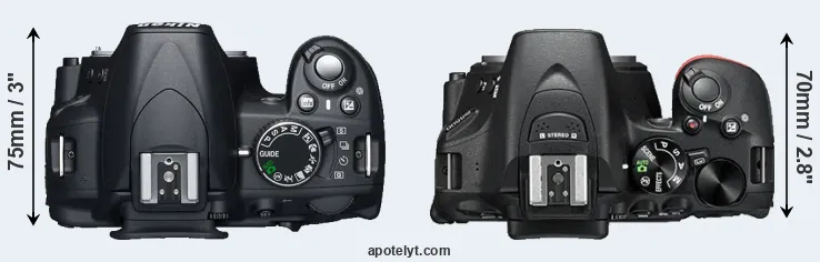 Compare D3100 versus D5500 top