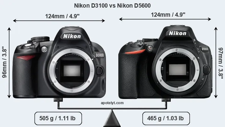 Size Nikon D3100 vs Nikon D5600
