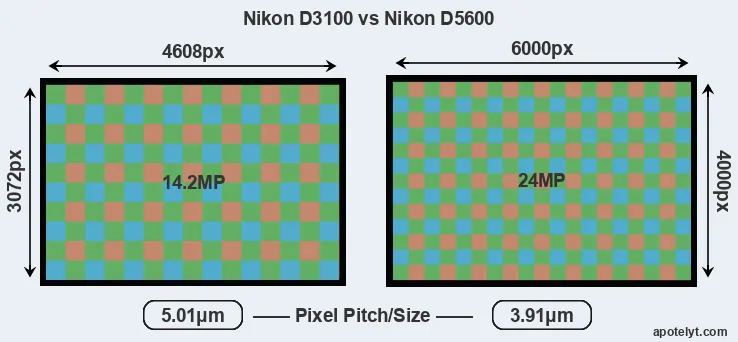 D3100 versus D5600 MP