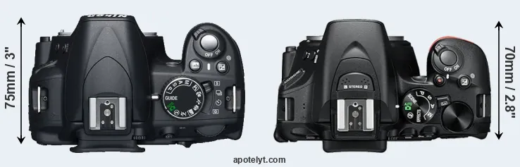 Compare D3100 versus D5600 top