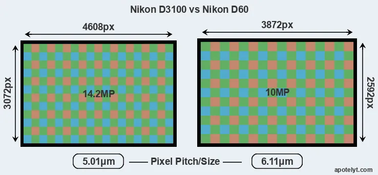 D3100 versus D60 MP