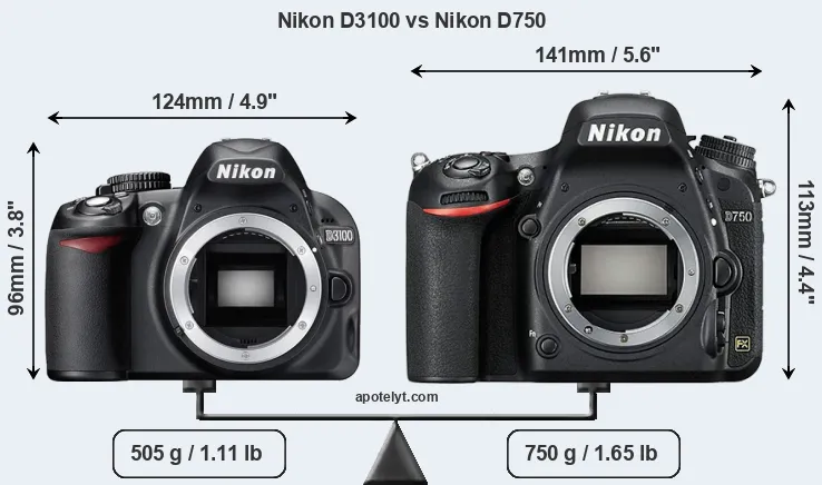 Size Nikon D3100 vs Nikon D750