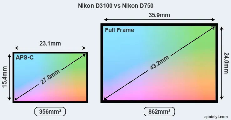 Nikon D3100 and Nikon D750 sensor measures